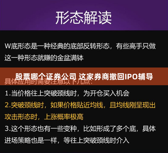 股票哪个证券公司 这家券商撤回IPO辅导