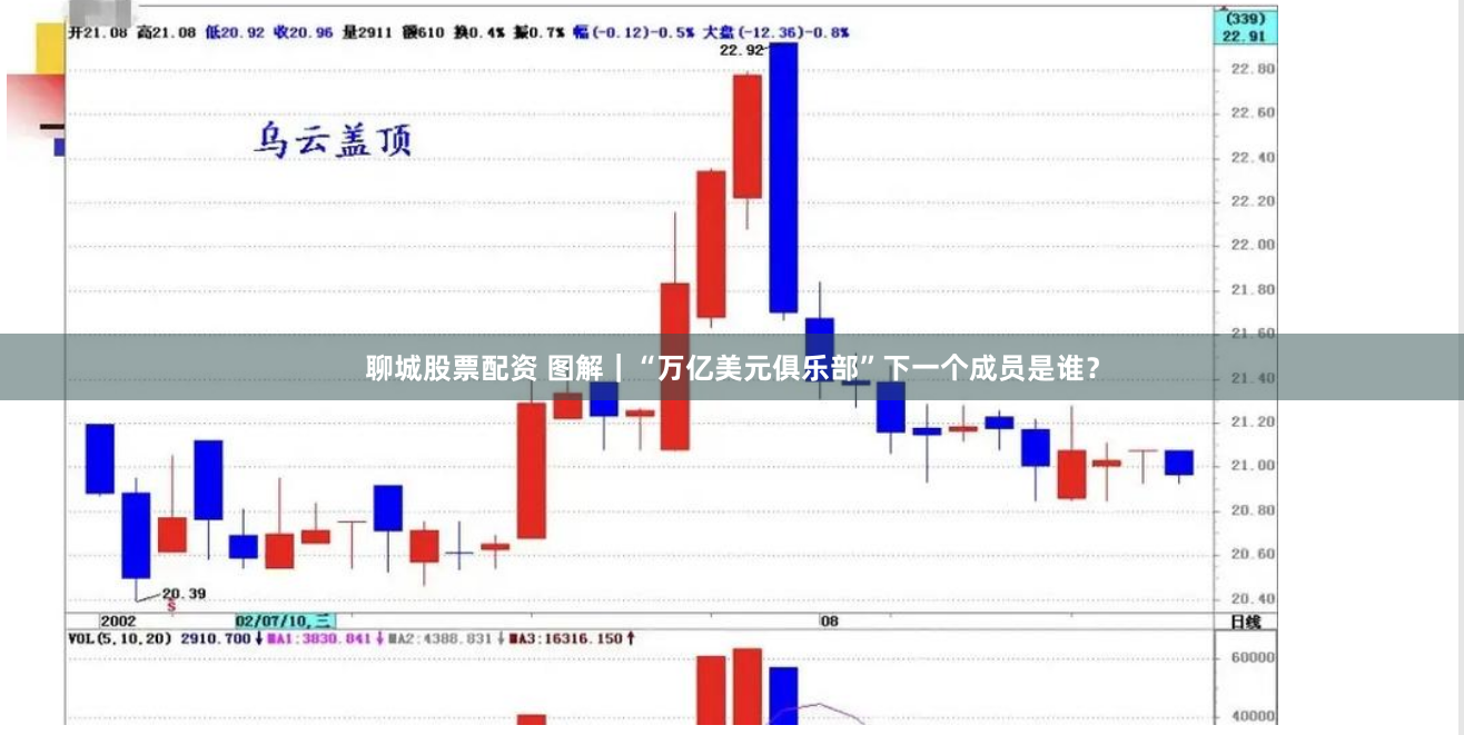 聊城股票配资 图解｜“万亿美元俱乐部”下一个成员是谁？