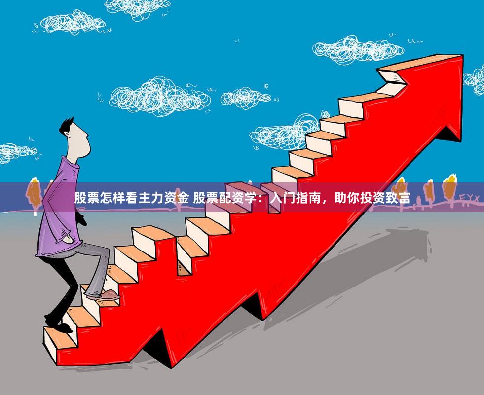 股票怎样看主力资金 股票配资学：入门指南，助你投资致富