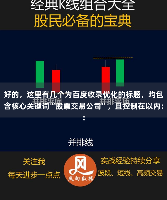 好的，这里有几个为百度收录优化的标题，均包含核心关键词“股票交易公司”，且控制在以内：